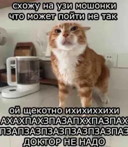 2476182_1