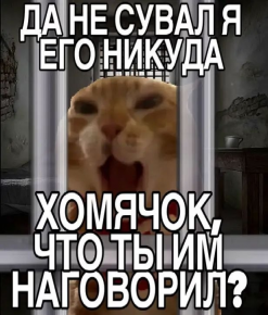 2476188_1