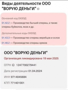 2476255_1