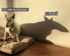 2476588_1