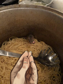 2476855_1