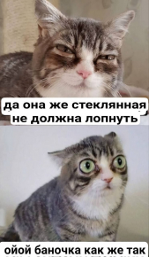 2477137_1