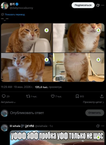 2477527_1