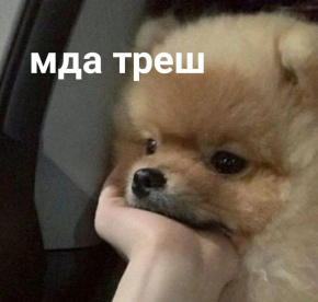 2478289_1