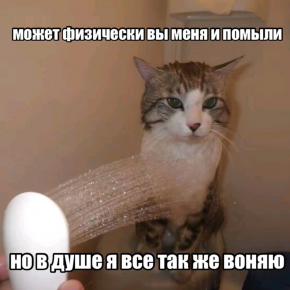 2478304_1
