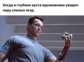 2478748_1