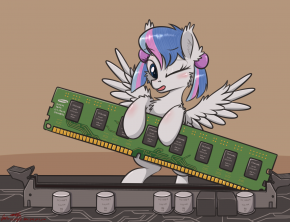 2480989_1