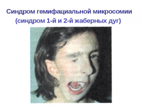 2483644_1