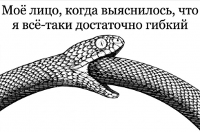 2485288_1