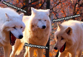 2485383_1