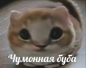 2485656_1