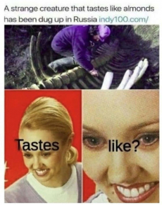 2485930_1