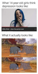 2485932_1