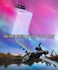 2485933_1