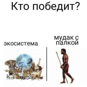 2485938_1