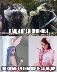 2486406_1