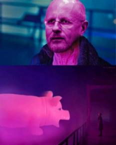 2486416_1