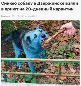 2486438_1
