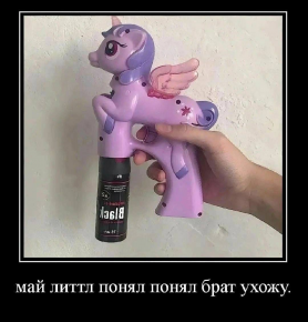 2481426_1