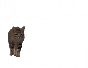 2481590_1
